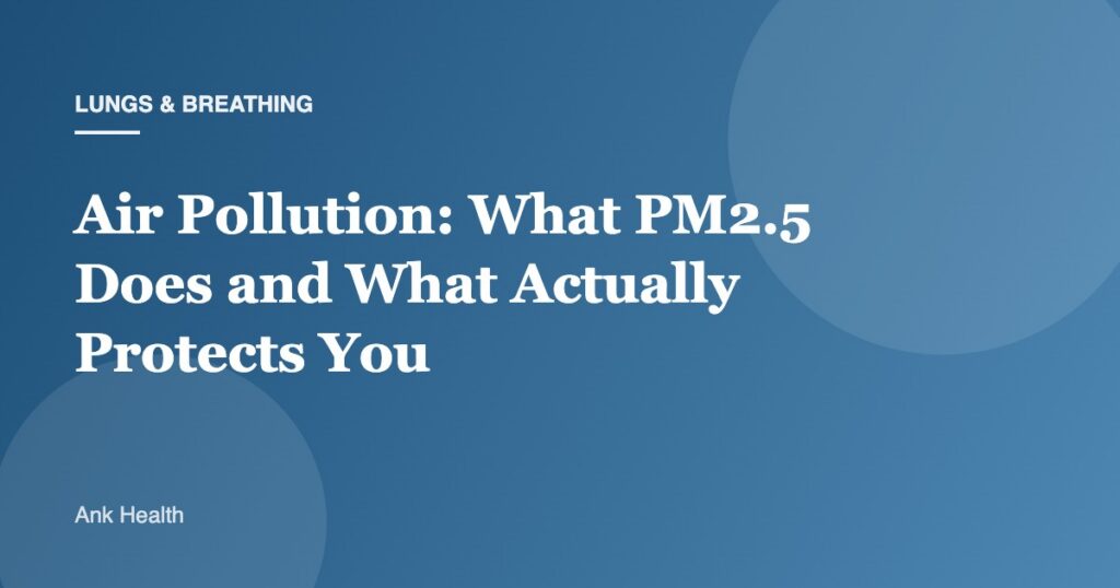 Air Pollution: What PM2.5 Does and What Actually Protects You