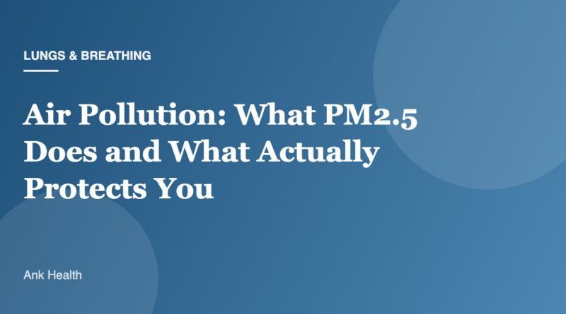 Air Pollution: What PM2.5 Does and What Actually Protects You