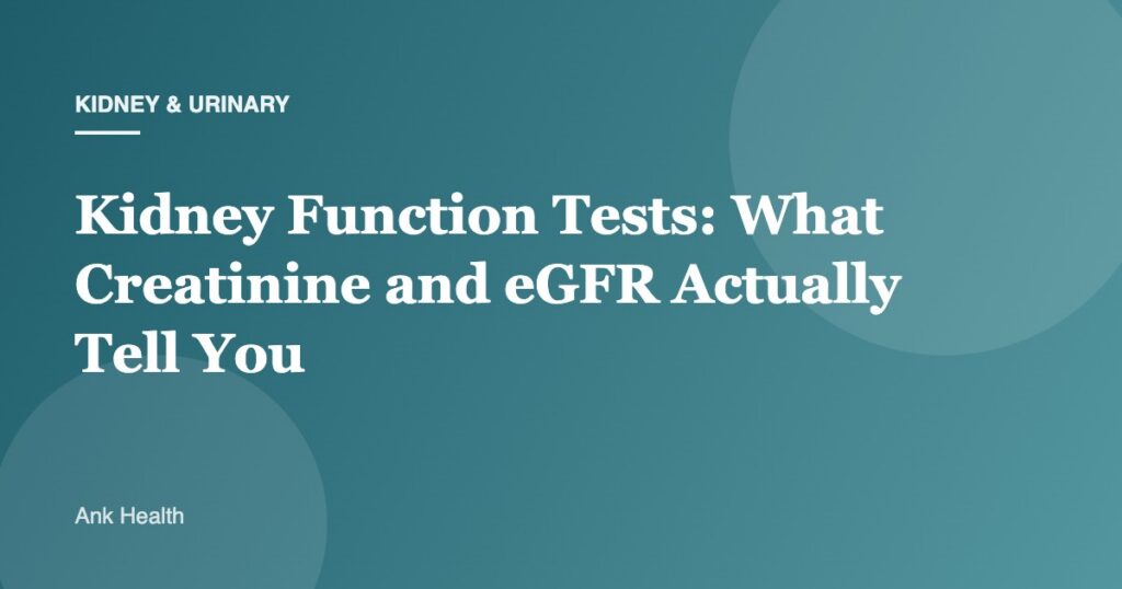 Kidney Function Tests: What Creatinine and eGFR Actually Tell You