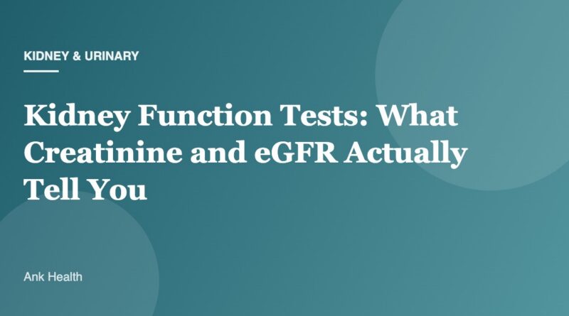 Kidney Function Tests: What Creatinine and eGFR Actually Tell You